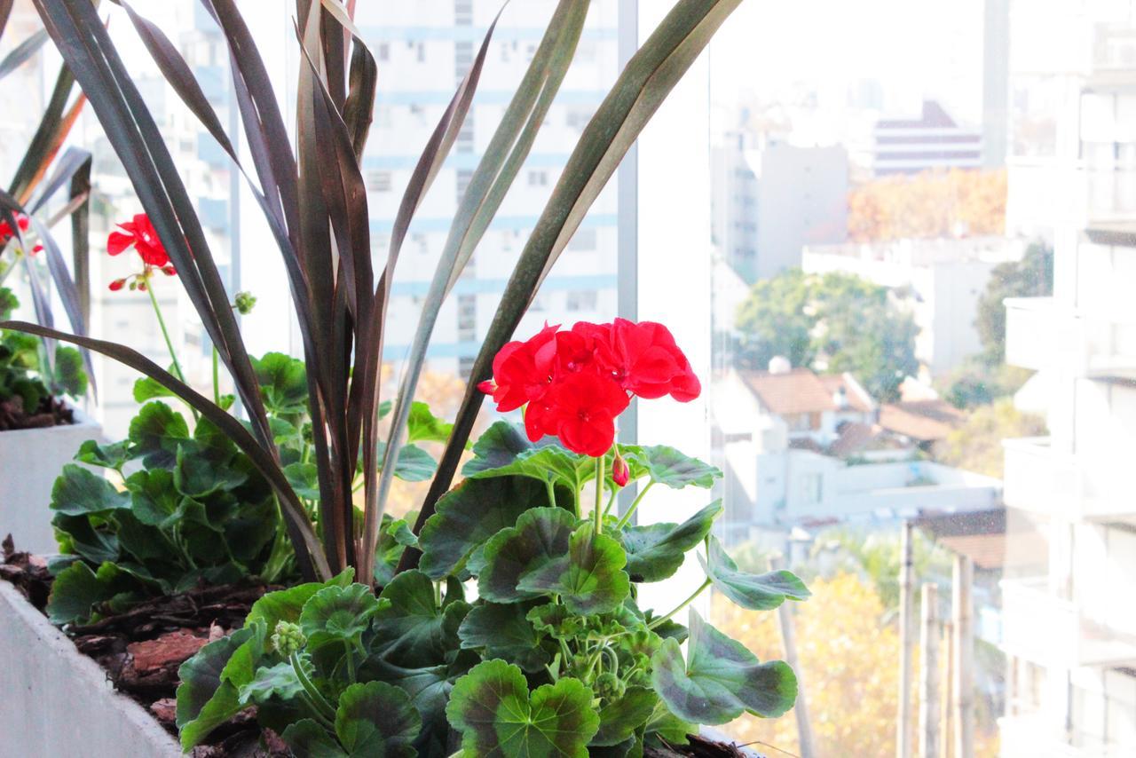 Hotel Boutique Devoto Buenos Aires Buitenkant foto